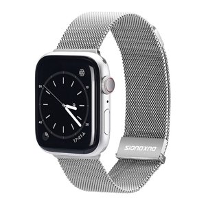DUX MILANESE Kovový řemínek pro Apple Watch SE / SE 2022 / SE 2023 (44mm) stříbrný