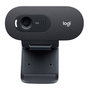 akce webcam Logitech HD Webcam C505e 960-001372